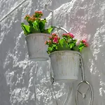 Apartament Rustic Self-inn *