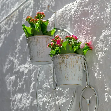 Apartman Rustic Self-inn *