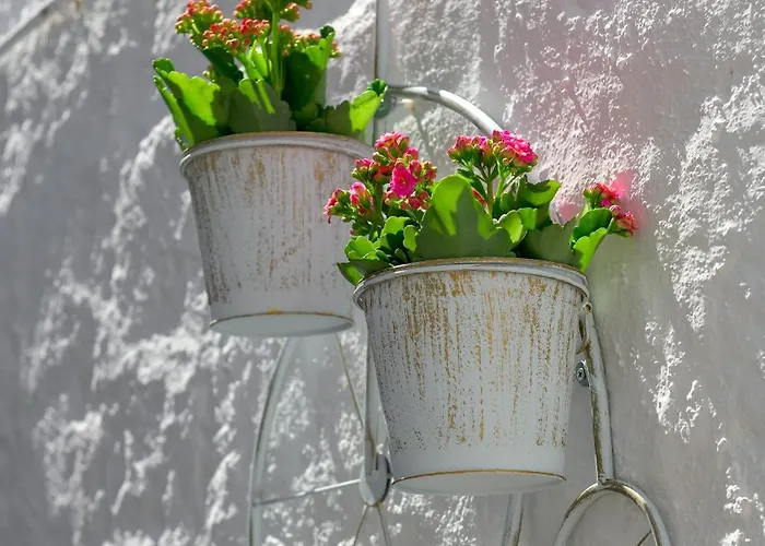 Appartamento Rustic Self-inn *